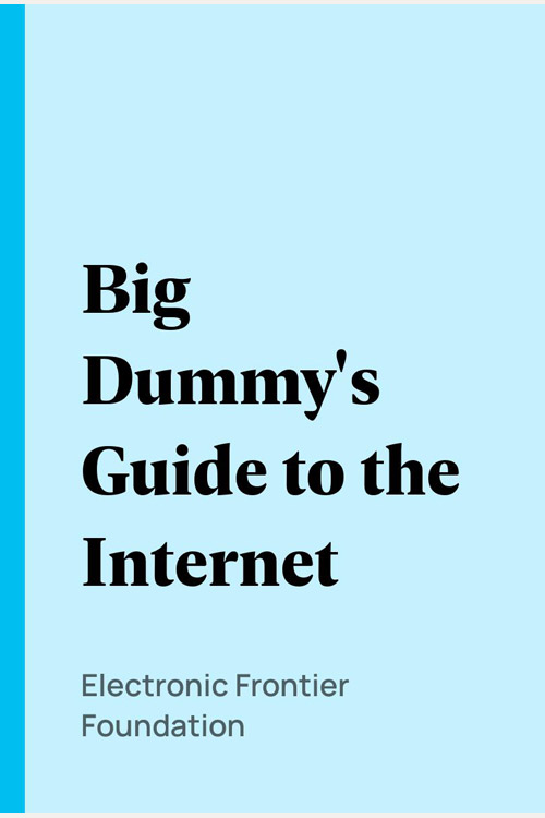Big Dummy's Guide To The Internet