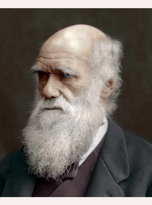 Charles Darwin 0 (0)
