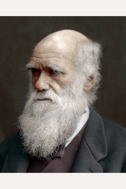 Charles Darwin 0 (0)