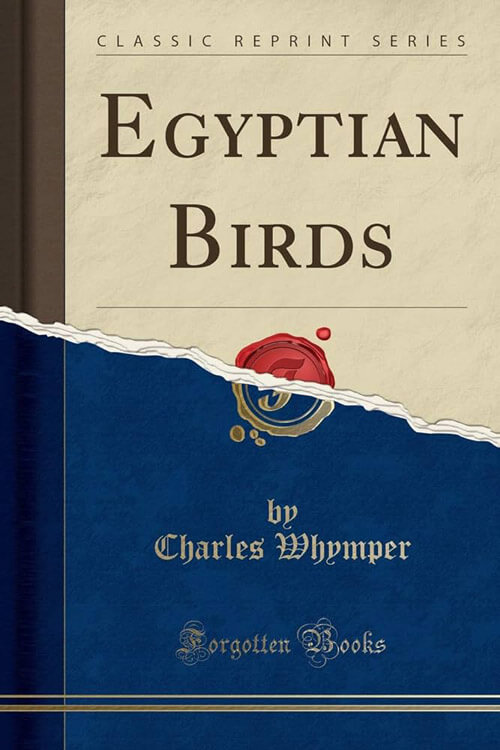 Egyptian Birds For The Most Part Seen in the Nile Valley 5 (1)