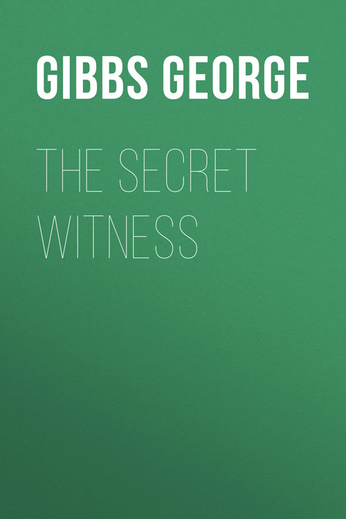 The Secret Witness 5 (1)
