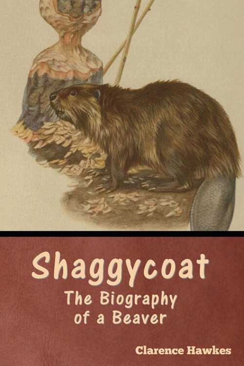 Shaggycoat The Biography of a Beaver