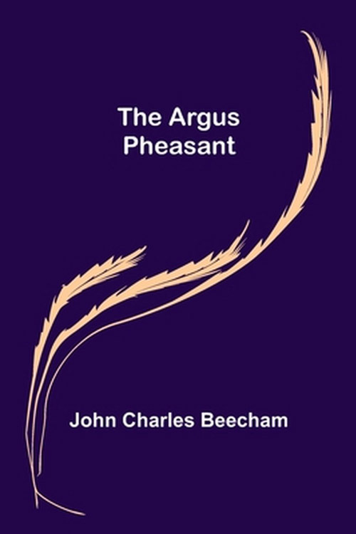 The Argus Pheasant