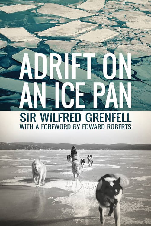 Adrift on an Ice-Pan 5 (1)